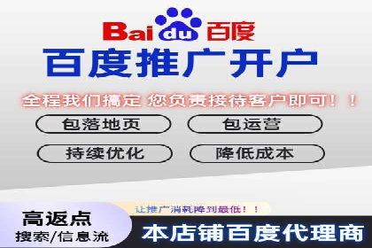 某某企业SEM推广成功案例：打造品牌营销新模式